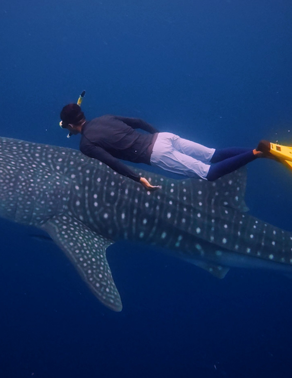 Screenshot 2026-03-05 124849