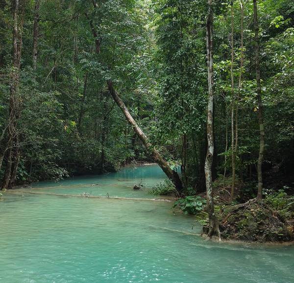 Screenshot 2026-03-05 151201