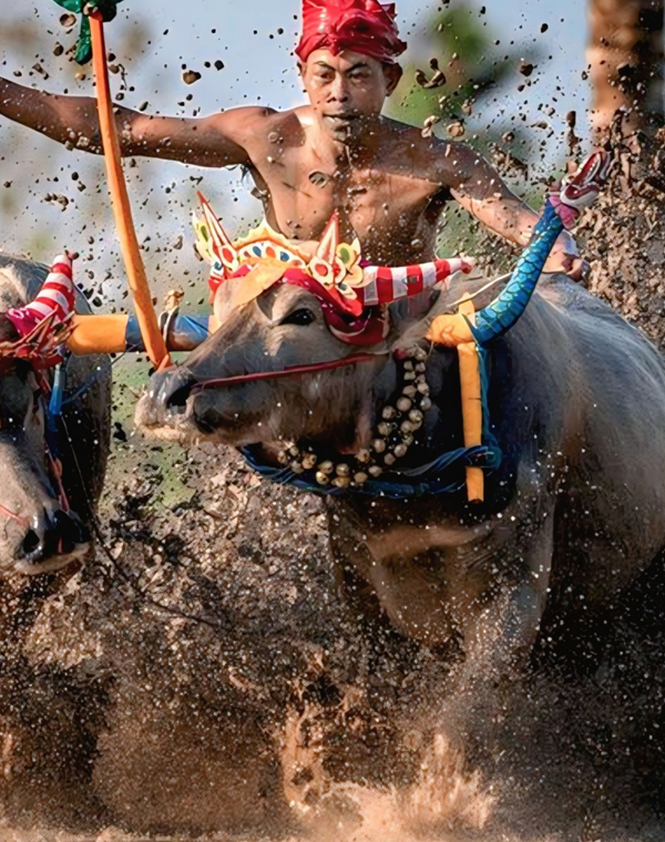 Screenshot 2026-03-05 202548