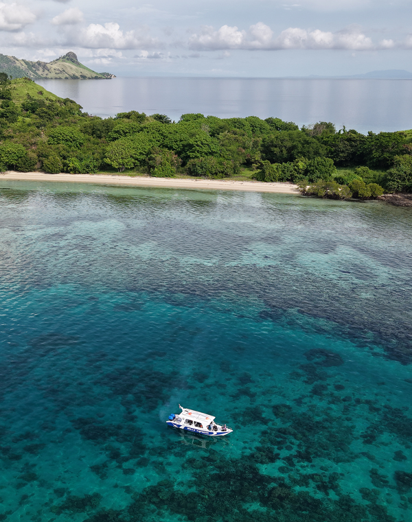 Screenshot 2026-03-05 202911