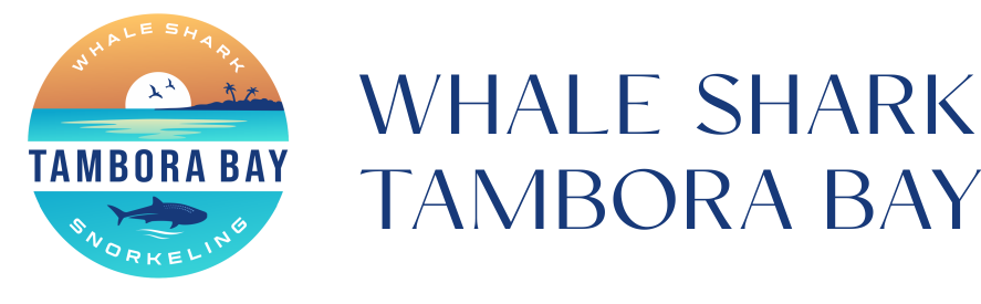 whaleshark-tamborabay.com